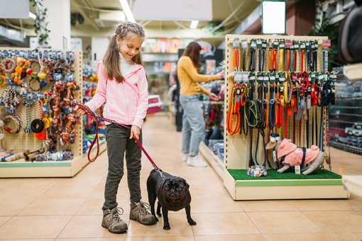 The 6 Best Pet Stores in Ohio!