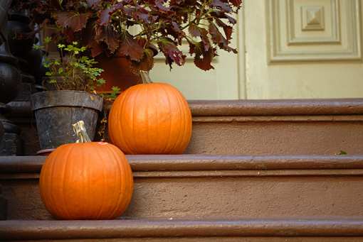 The 10 Best Pumpkin Picking Spots in Ohio!